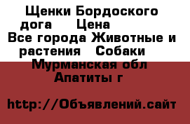 Щенки Бордоского дога.  › Цена ­ 30 000 - Все города Животные и растения » Собаки   . Мурманская обл.,Апатиты г.